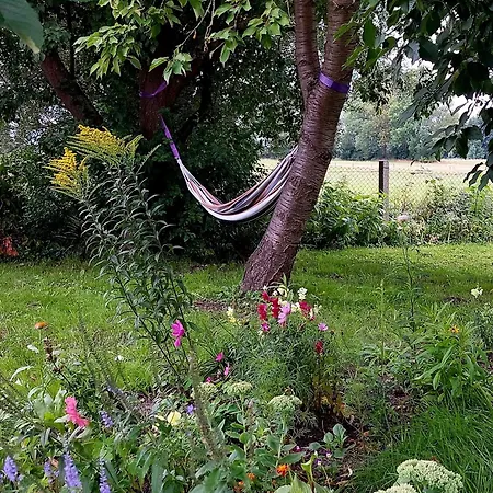 Casa de Férias Bungalenz Lenzen